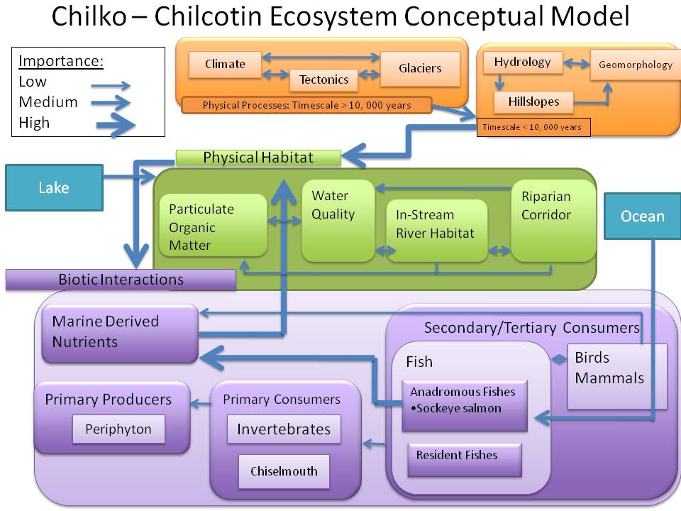 CCR Conceptual Model