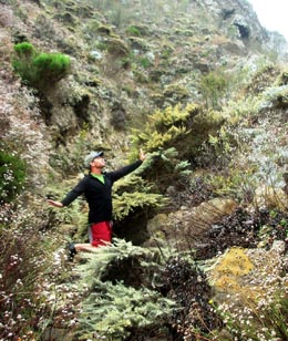 Figure 5b. Small canyon on west side near entrance to Potato Harbor with numerous endemic plants.