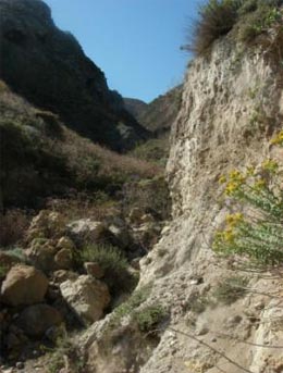 Looking upstream Buckwheat canyon, above knick point. Collubium layers on right.