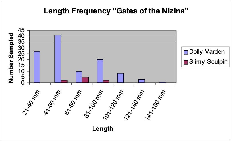 Figure 1. Fork lengths of Dolly Varden (N=110) and slimy sculpin (N=9) collected from the Nazina River and adjacent areas.