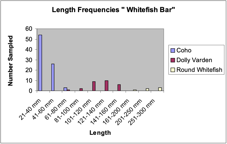 Figure 2. Fork lengths of Coho Salmon (N=85), Dolly Varden (N=40), and Round Whitefish (N=8) collected from “Whitefish Bar” and adjacent areas of the Nazina River.