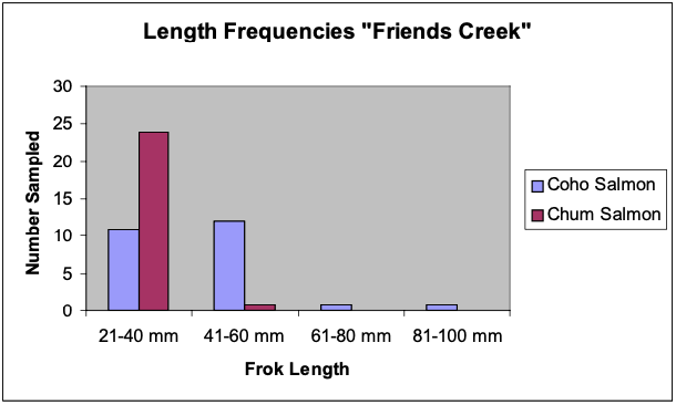 Figure 6. Fork lengths of Coho Salmon (N=25) and Chum Salmon (N=25) collected from “Friends Creek” and confluence with the Copper River.