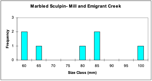 Figure 20a. Marbled sculpin size classes.