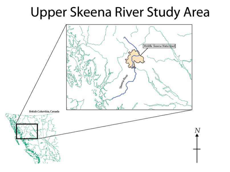 Figure 1. The Skeena River study area is located in the Middle Skeena Watershed between the Squingula and Babine Rivers.