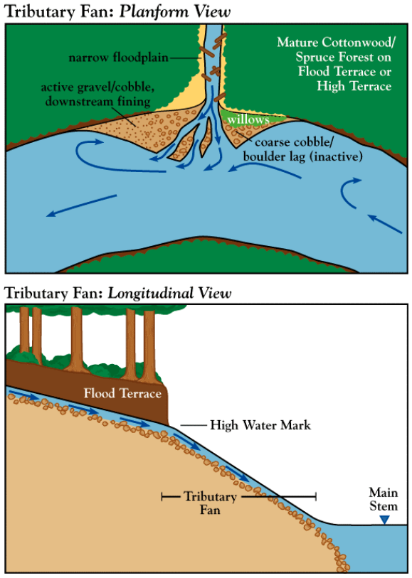 Figure 3. Schematic of a typical tributary fan generally found at the confluence of steep tributaries to the Skeena River.