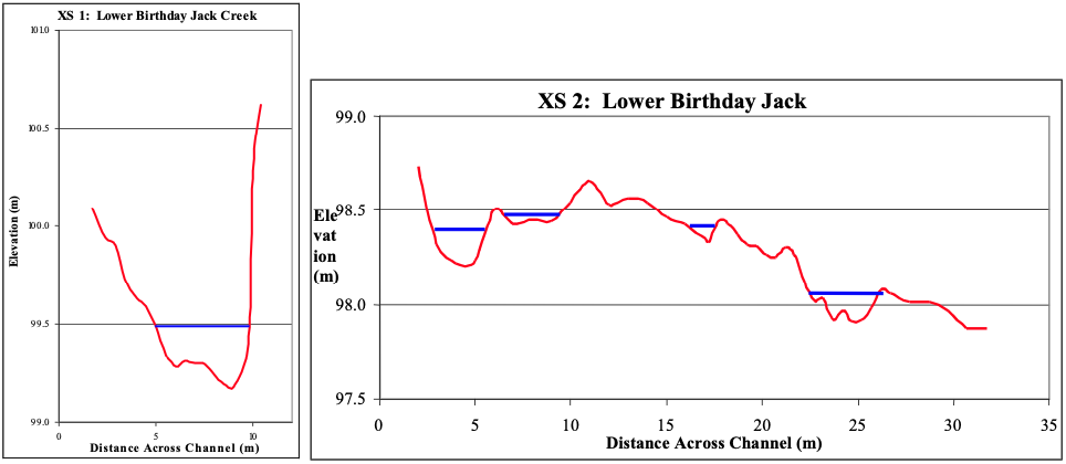 Figure 5. The two cross sections at Lower Birthday Jack Creek: (a) cross section taken above the tributary fan and (b) cross-section take across the tributary fan with braided channels (See Appendix 3 sketch map for locations and description).