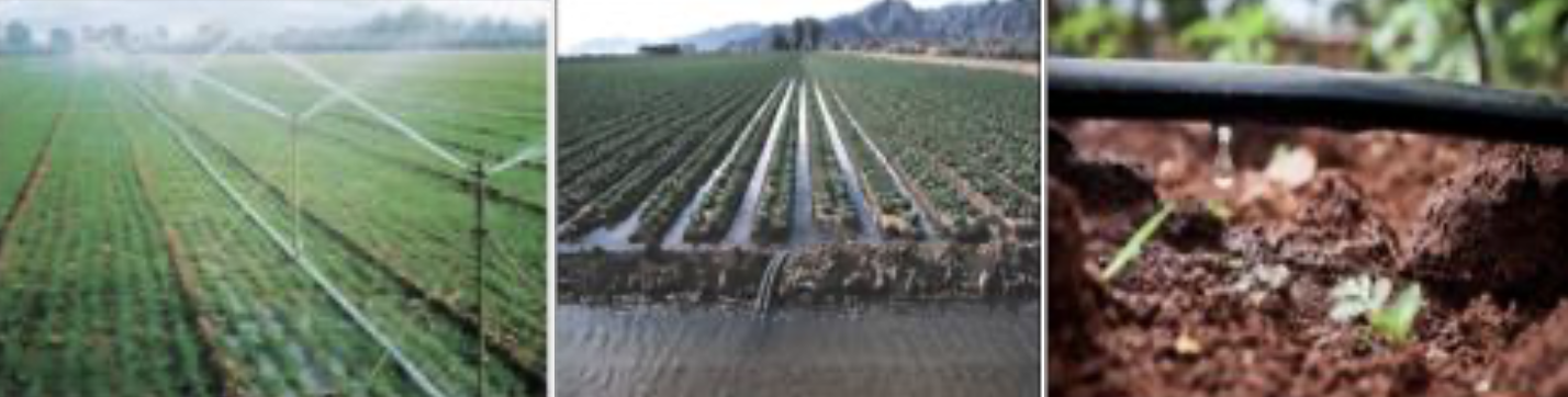 Types of Irrigation: Sprinkler, Furrow, and Drip (left to right)