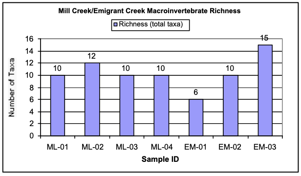 Figure 15. Macroinvertebrate richness on each sampled reach