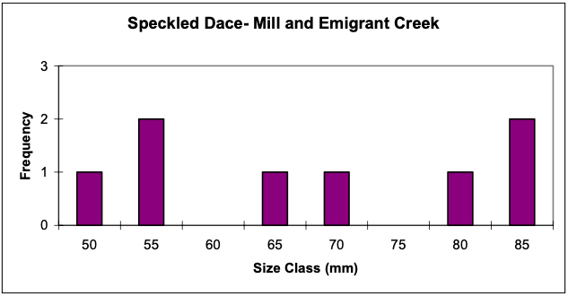 Figure 20b. Speckle dace size classes.