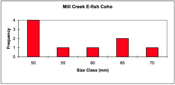 Figure 20e. Juvenile coho size on Mill Creek.