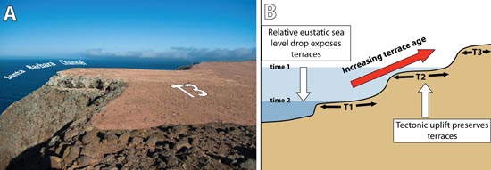 Figure 3: (A) Marine terrace preserved at Potato Harbor on Santa Cruz Island. (B) Conceptual model for terrace formation on the Santa Cruz Island.