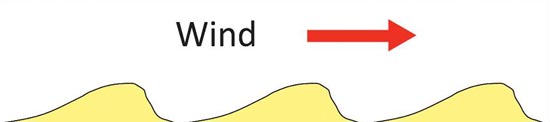 Diagram demonstrating the relationship between asymmetric ripple marks and wind direction.