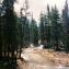 Tuolumne River