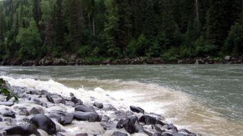 tributary mixing with the Skeena River
