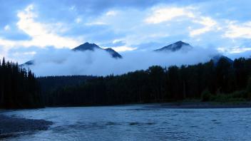A misty morning 