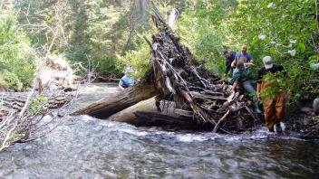tributary