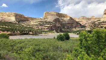 greenery with rocky formation in the distance