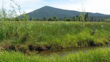 Bear Creek People 7