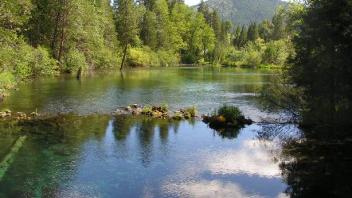 Big Springs