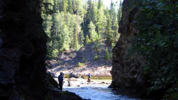 Bedrock constriction of Sheladamus Creek near the confluence