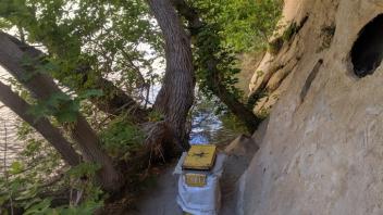 Box Elder 11 (Photo_ Caroline Newell)