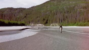 Chitina flats