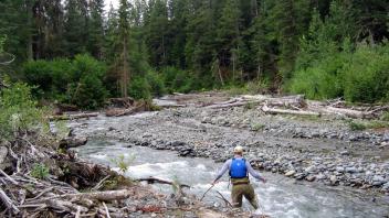 Larkworthy Creek