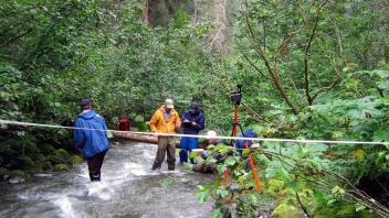 Cross-Section transect at Birthday Jack Creek