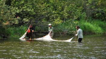 Field Work