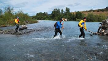 Field Work
