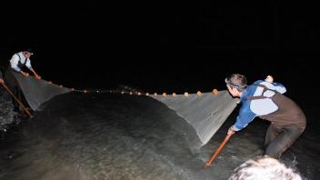 Field Work