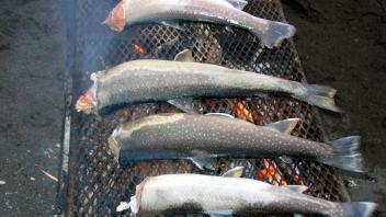 4 fish