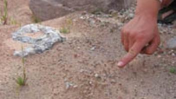 person pointing to something 