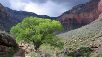 Grand Canyon Winter 2005