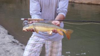 person holding fish