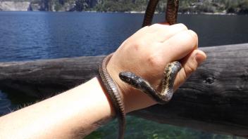Hetch Hetchy