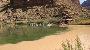 grand canyon