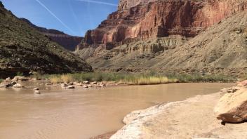 grand canyon