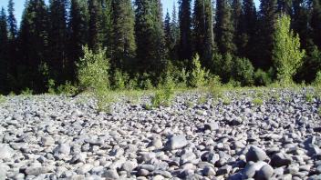 rocks