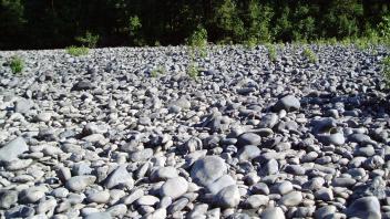 rocks