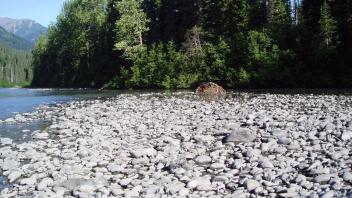 rocks