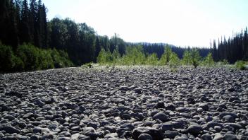 rocks