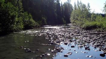 rocks
