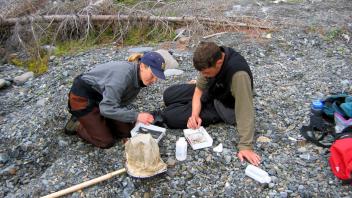 Kate and Aaron identifying invertebrates