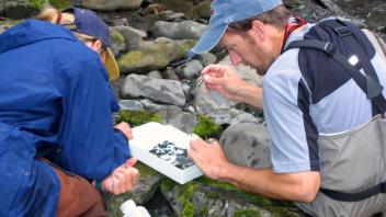 Kate and Alex F. the ecologists, identifying aquatic invertebrates