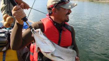 person holding fish