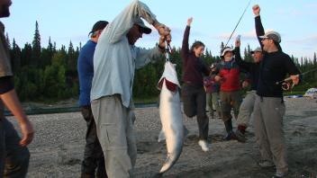person holding fish