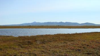 Kobuk