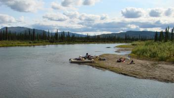 Kobuk