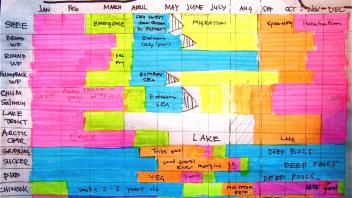 Kobuk life history table